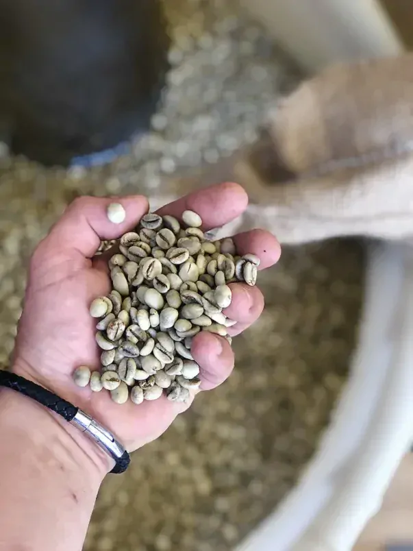 Toskánska káva (zrná) 90% Arabica, 10% Robusta, 1000g