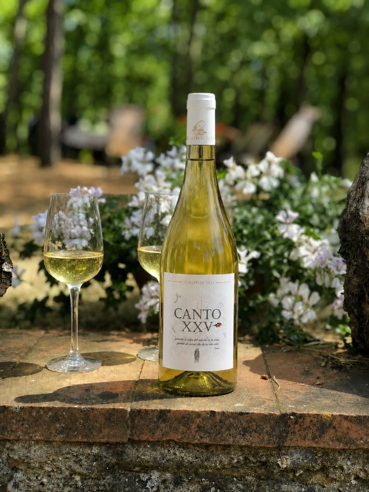 Biele víno Canto XXV 2024, 750ml