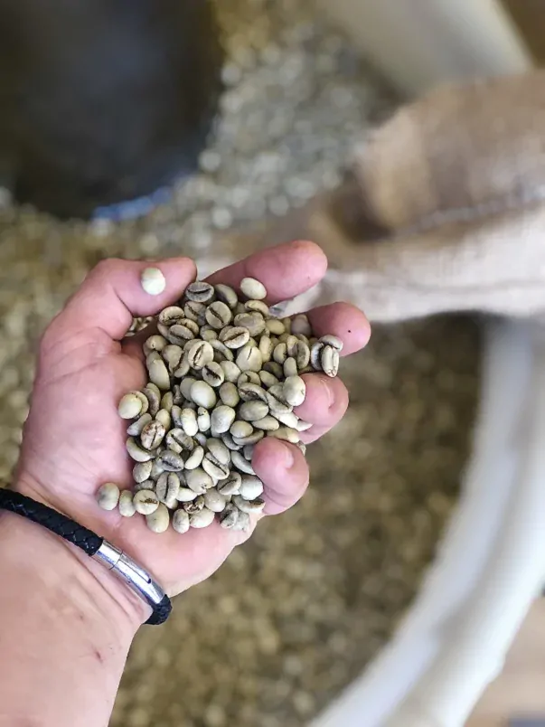 Toskánska káva (zrná) 90% Arabica, 10% Robusta, 500g