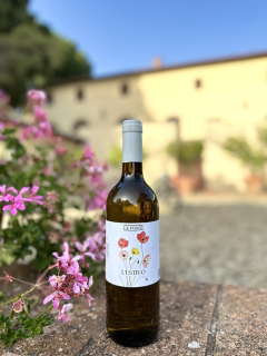 Biele víno L’Estivo IGT 2025 Bio, 750ml