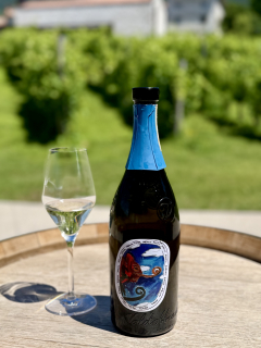 Výberové prosecco DOCG Cama Brut (Fasol Menin), 750ml