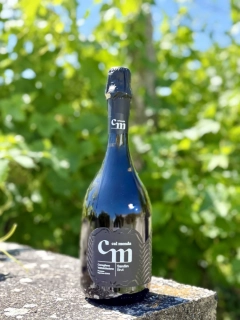 Výberové prosecco DOCG Sandán brut (Cal Monda), 750ml