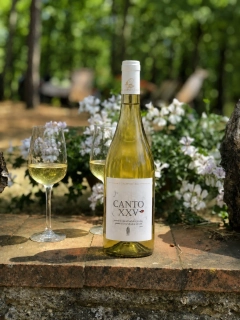 Biele víno Canto XXV 2024, 750ml